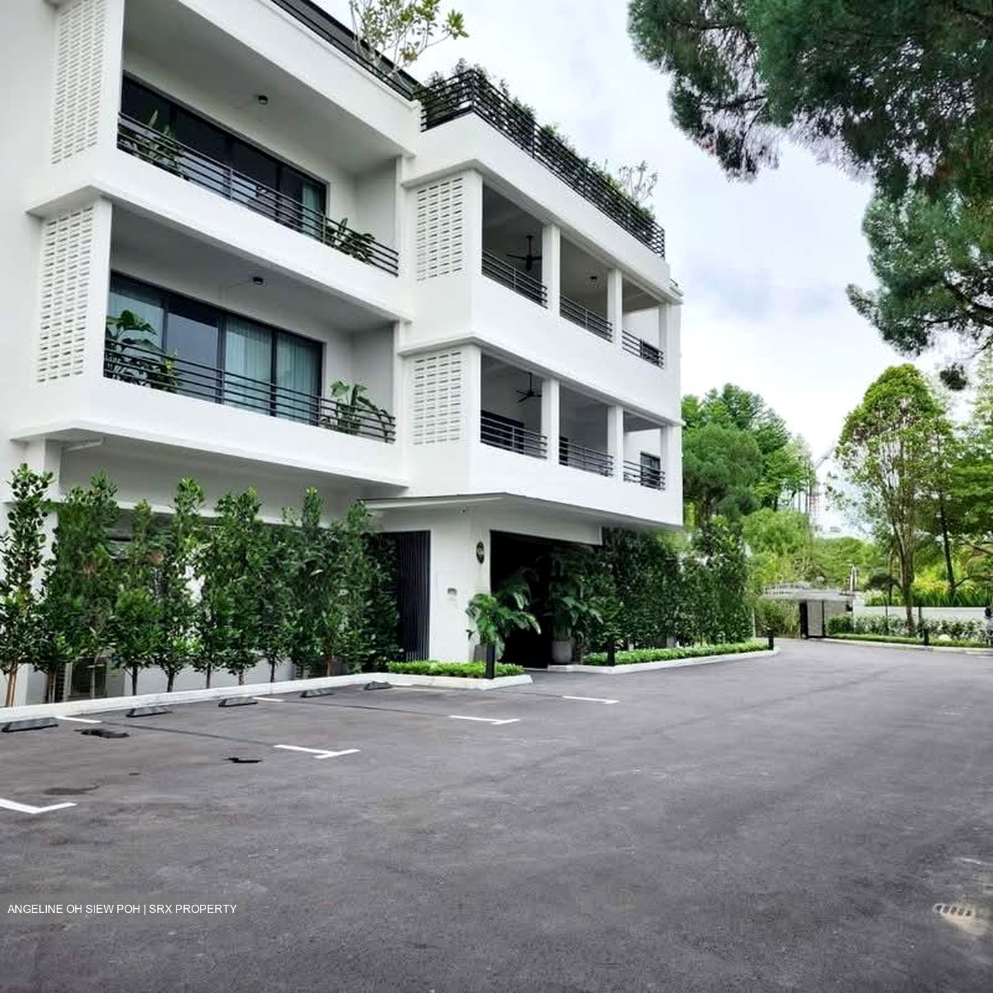 Holland Rise (D10), Apartment #540890321